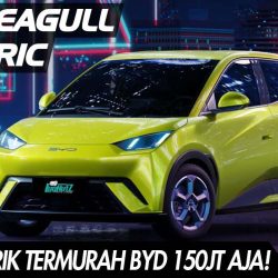BYD SEAGULL ELECTRIC 2024